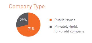 company type