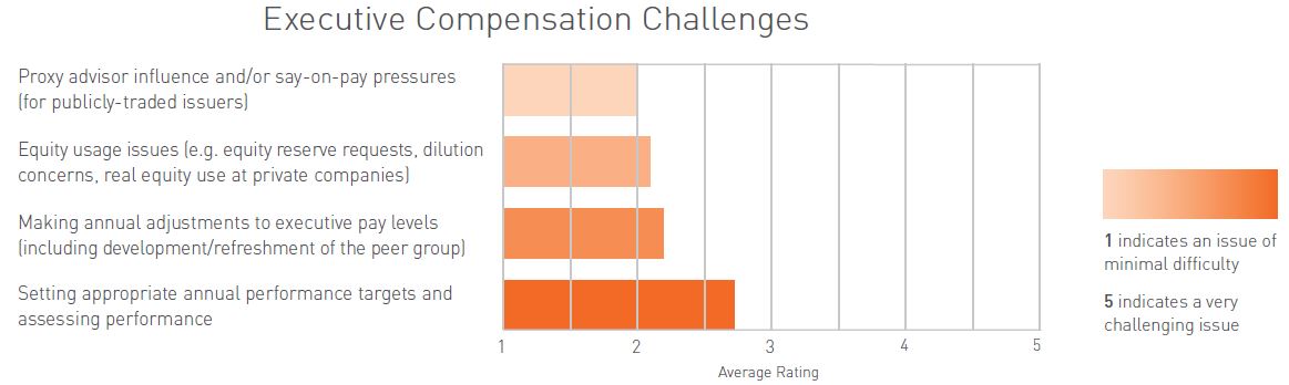 Executive Compensation Challenges