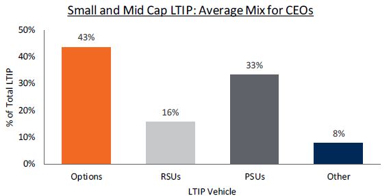 Samll and Mid Cap LTIP: Average Mix for CEOs
