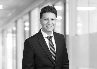 David Ferrucho